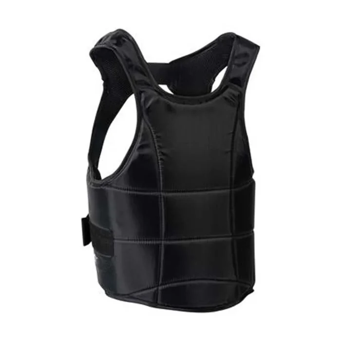 Chest Guard - Image 1