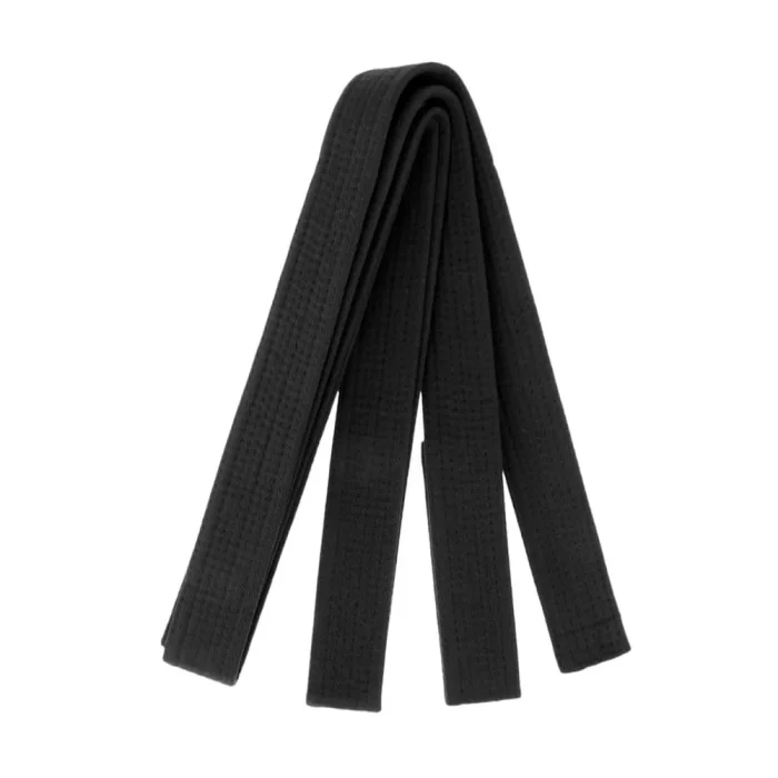 Martial Arts Belt - Image 1
