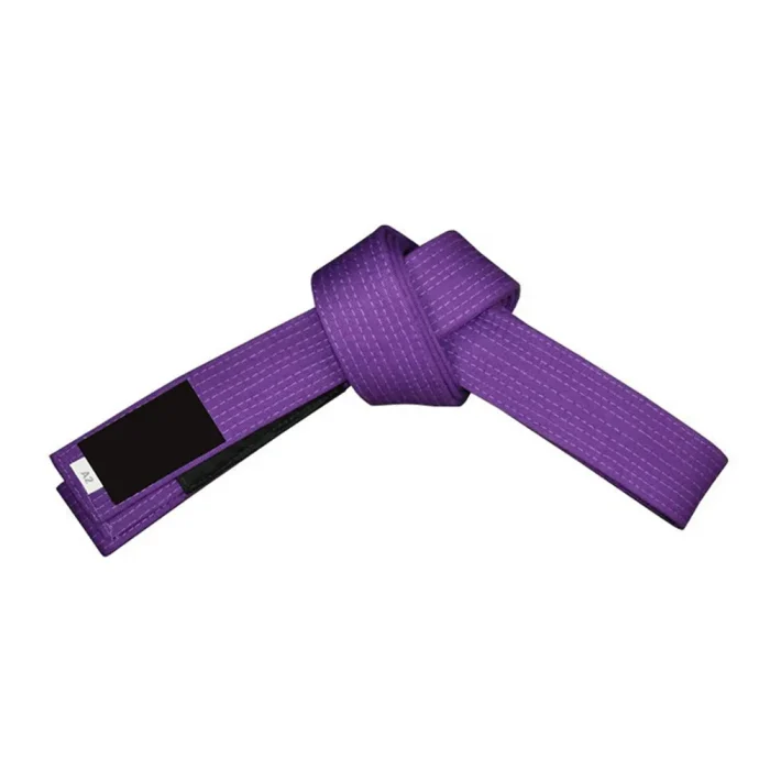 Martial Arts Belt - Image 1
