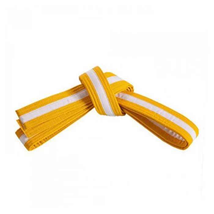 Martial Arts Belt - Image 1