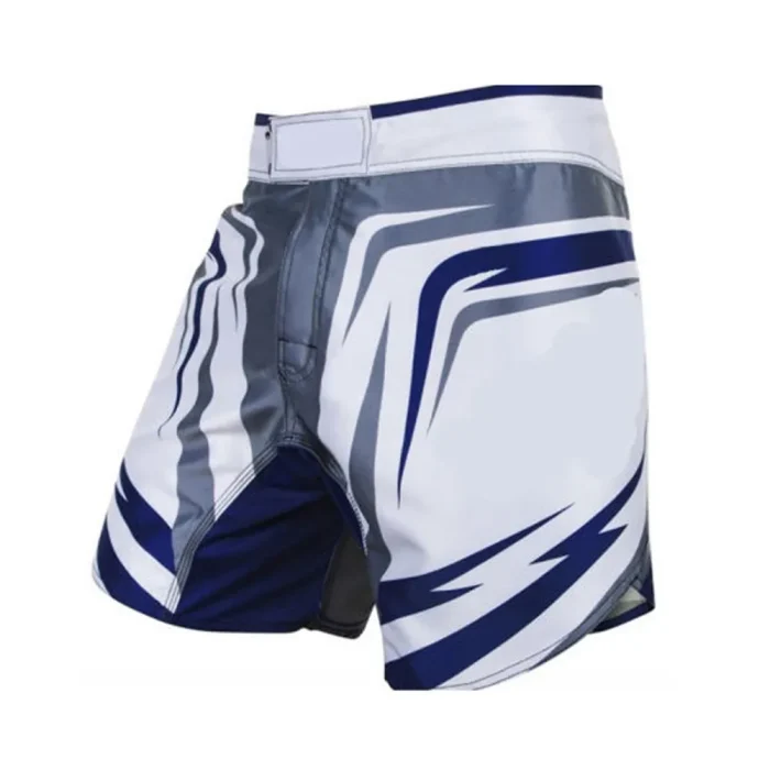 MMA Shorts - Image 1